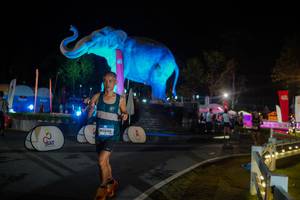 BIB: 
                            <button type="button" onclick="openModal(26552400)" class="btn btn-primary btn-sm float-right btn-popup" data-toggle="modal" data-target=".modal-high-quality">
                        <i class="fas fa-shopping-cart"></i> Add to Cart
                    </button>
                                            <button type="button" onclick="isThisMe(26552400, true)" class="btn btn-success btn-sm float-right btn-popup btn-isme hidden" data-toggle="tooltip" data-placement="bottom" title="นี่คือรูปของคุณใช่ไหม คลิกที่นี่เพื่อเอาเข้าอัลบั้ม">
                        <i class="fas fa-plus"></i> Add to album
                    </button>
                    <button type="button" onclick="isThisMe(26552400, false)" class="btn btn-warning btn-sm float-right btn-popup btn-isnotme hidden">
                        <i class="fas fa-ban"></i> Remove from album
                    </button>